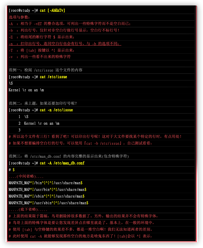 cat选项介绍
